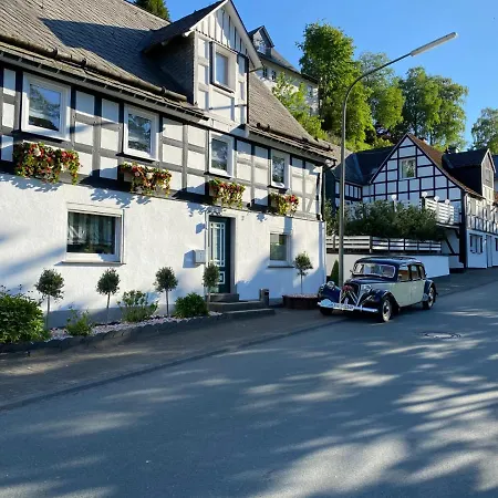 Sauerland-traeume 펜션 *