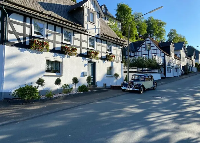 Sauerland-traeume 펜션 *